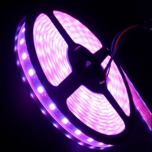  WF-300-RGB