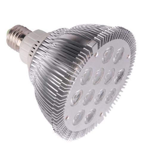  GS-12X1W