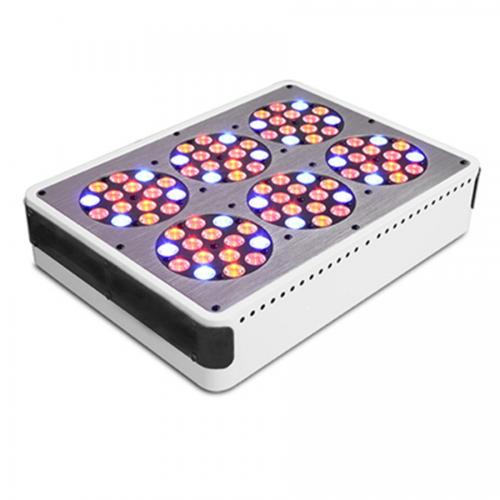  Apollo-6-LED-Aquarium