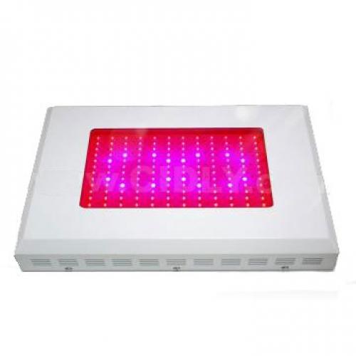  GP-144X2W