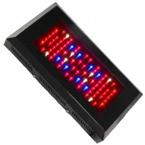  GP-80X2W