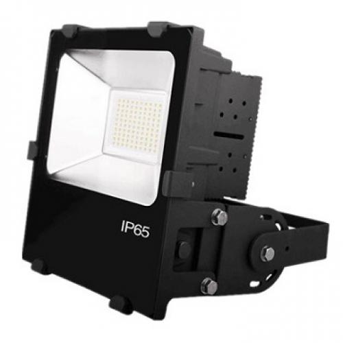 FL-100W-5C