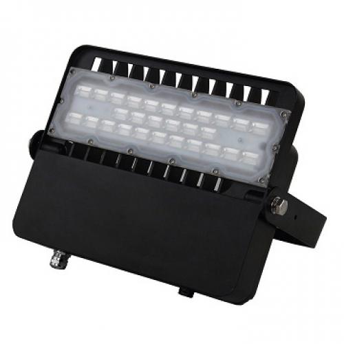  FL-100W-5E