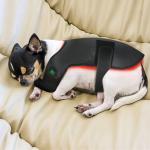 Dog Back Therapy Belt with 660nm 850nm LED Infrared Light Can the belt be used on other parts of the body?