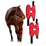 Equine Red Light Therapy Device for Horse Knee Pain Relief