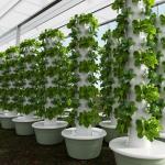 7 Layers 28 Holes Vertical Indoor Hydroponic Growing Tower How many plants can this tower hold?