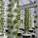 8 Layer Vertical Hydroponic System Kit Can the color be customized?