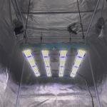 Can this light be used for other plants?