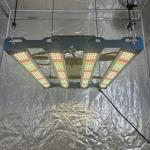 Does this light support dimming?