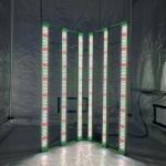 What is the lifespan of the light?