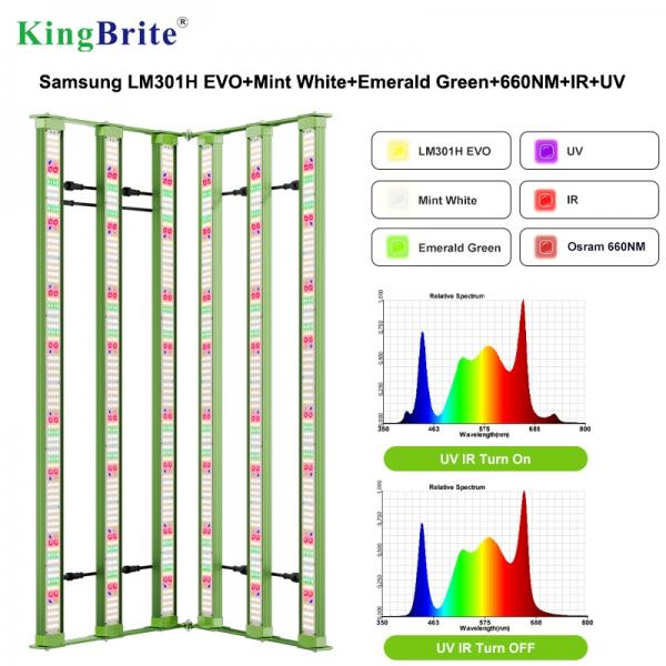 When to turn on grow lights for indoor plants?