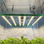 Is the light dimmable?