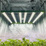 What is the lifespan of this grow light?