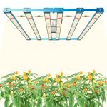 What is the lifespan of this light?