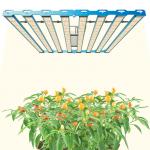 Can the light spectrum be adjusted?