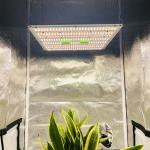 325*325mm 150W 592 LED Grow Light UV IR Samsung LM301H EVO Tent 2*2ft