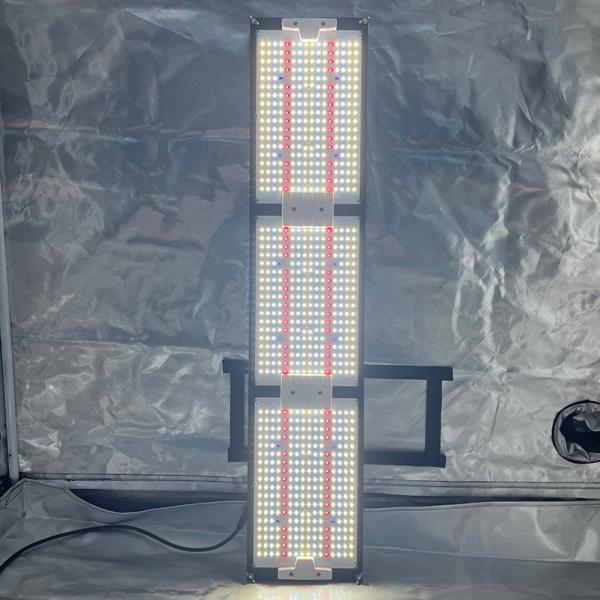 Will 6000 watts run a house?