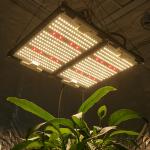 L326*W390*H15mm 240W LED Grow Light Samsung LM301H + Cree 660nm What is the lifespan of the LEDs?