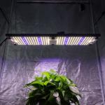 240W LED Grow Light Samsung LM301H 4000K Mix XP-E2 460nm Royal Blue Does it come with a dimmer?
