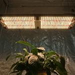 Does it come with a warranty?