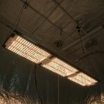 940x195mm LED Grow Light 320W Samsung LM301H Cree XP-E2 660NM 730nm LG UV