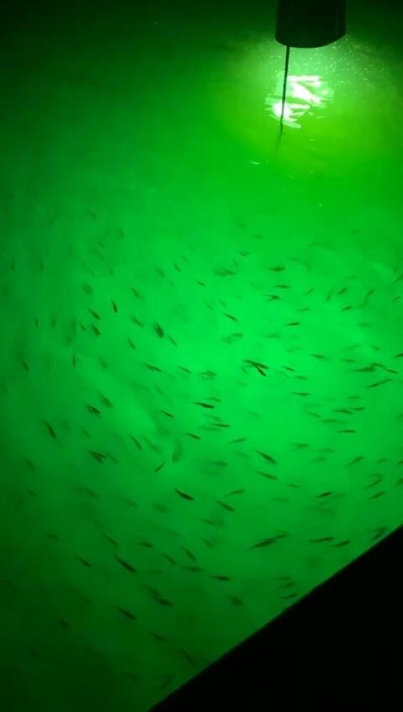 500W Green LED Fishing Light 30m Depth