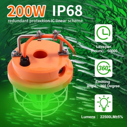 Who is the world leader in green energy?