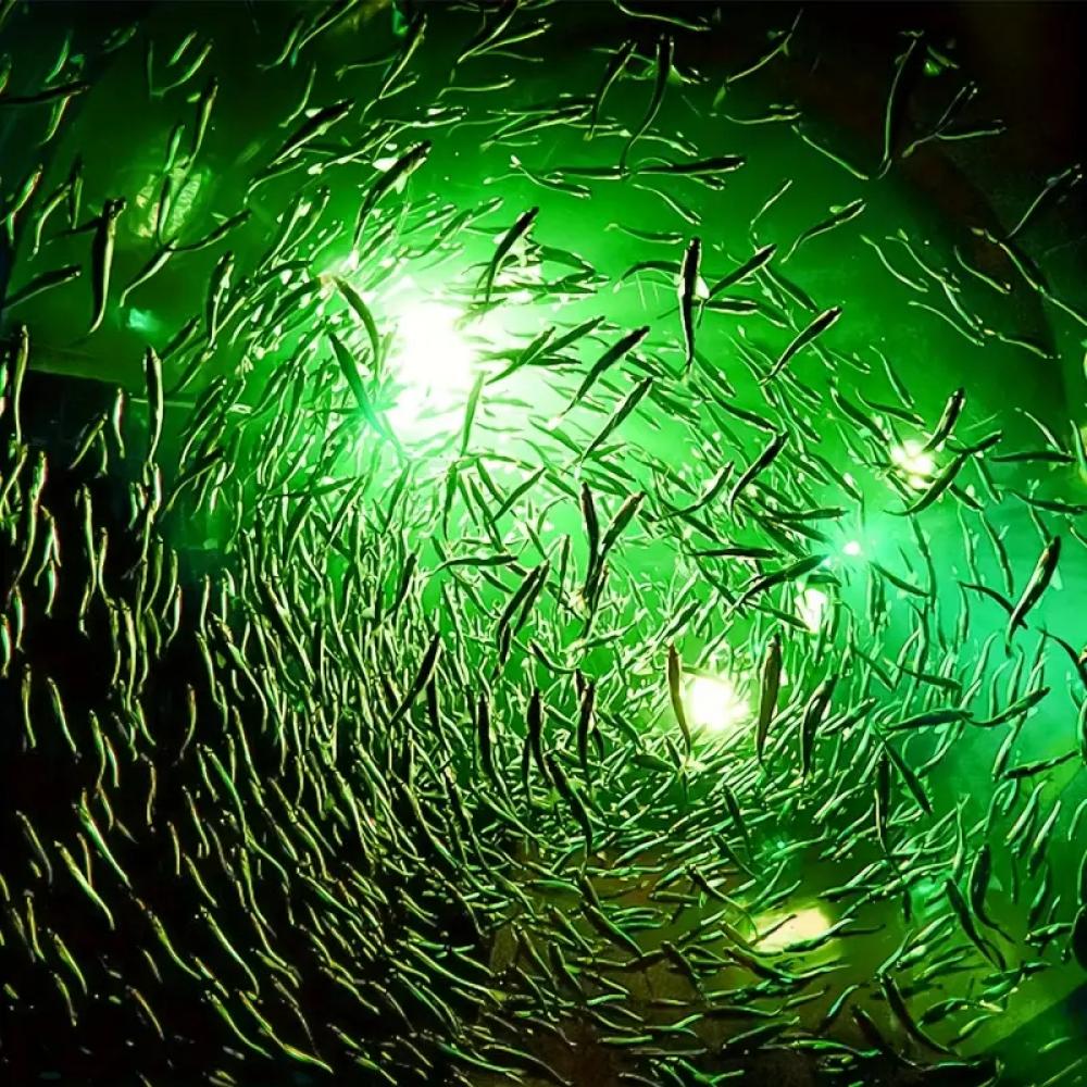 12V 30W Underwater Mini Green LED Fishing Light