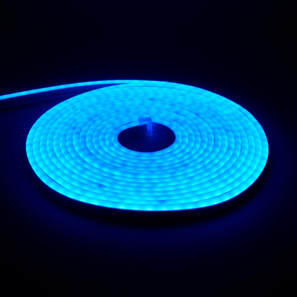 5m IP65 6x12mm Blue LED Flexible Neon Light