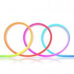 Silicone 24V 5m 60leds RGB Neon 14.4W/m IP67 What voltage options are available?