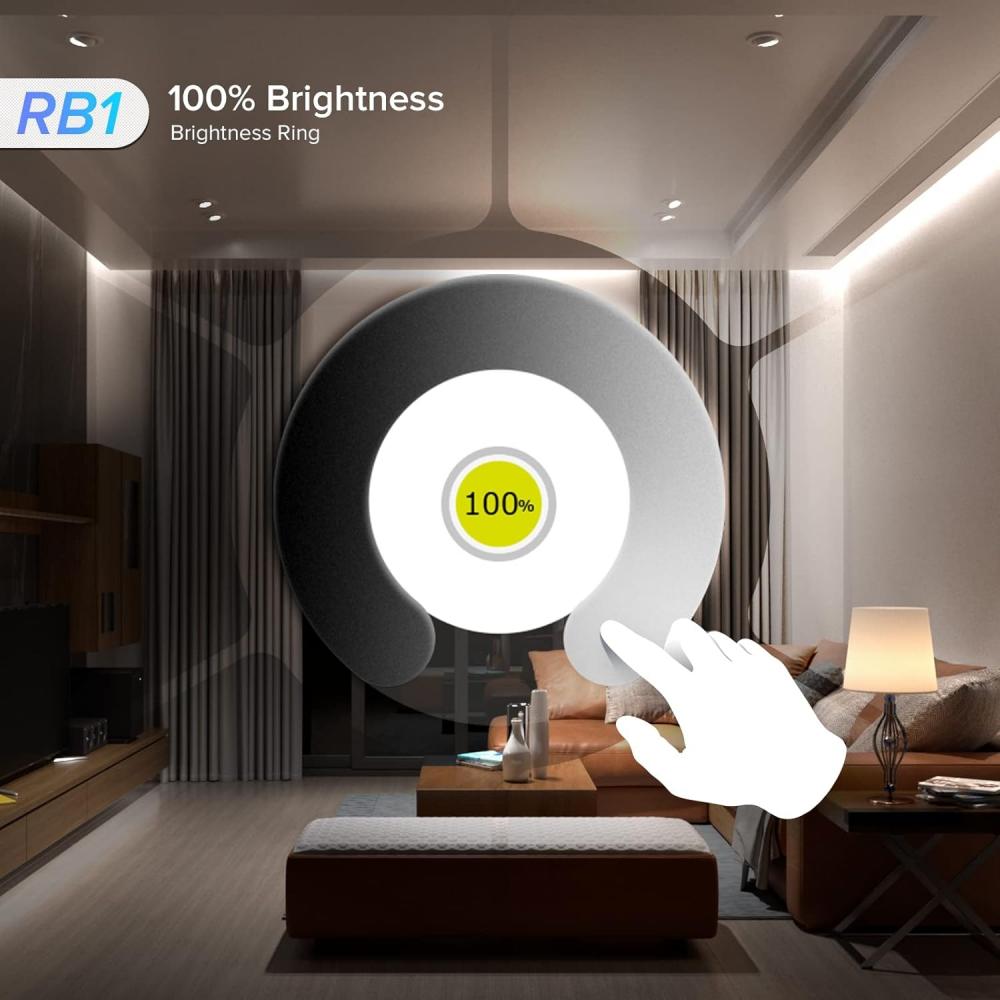 RB1 Remote Panel 2.4GHz RF Multi Zone
