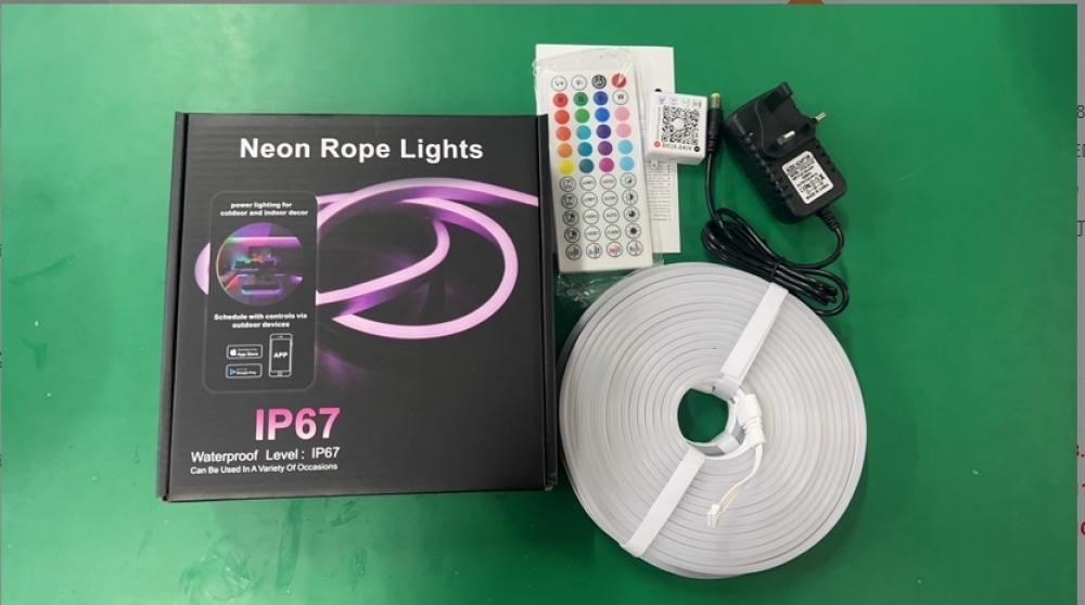 1m DC24V Flexible RGB LED Strip 6W with Music Sync