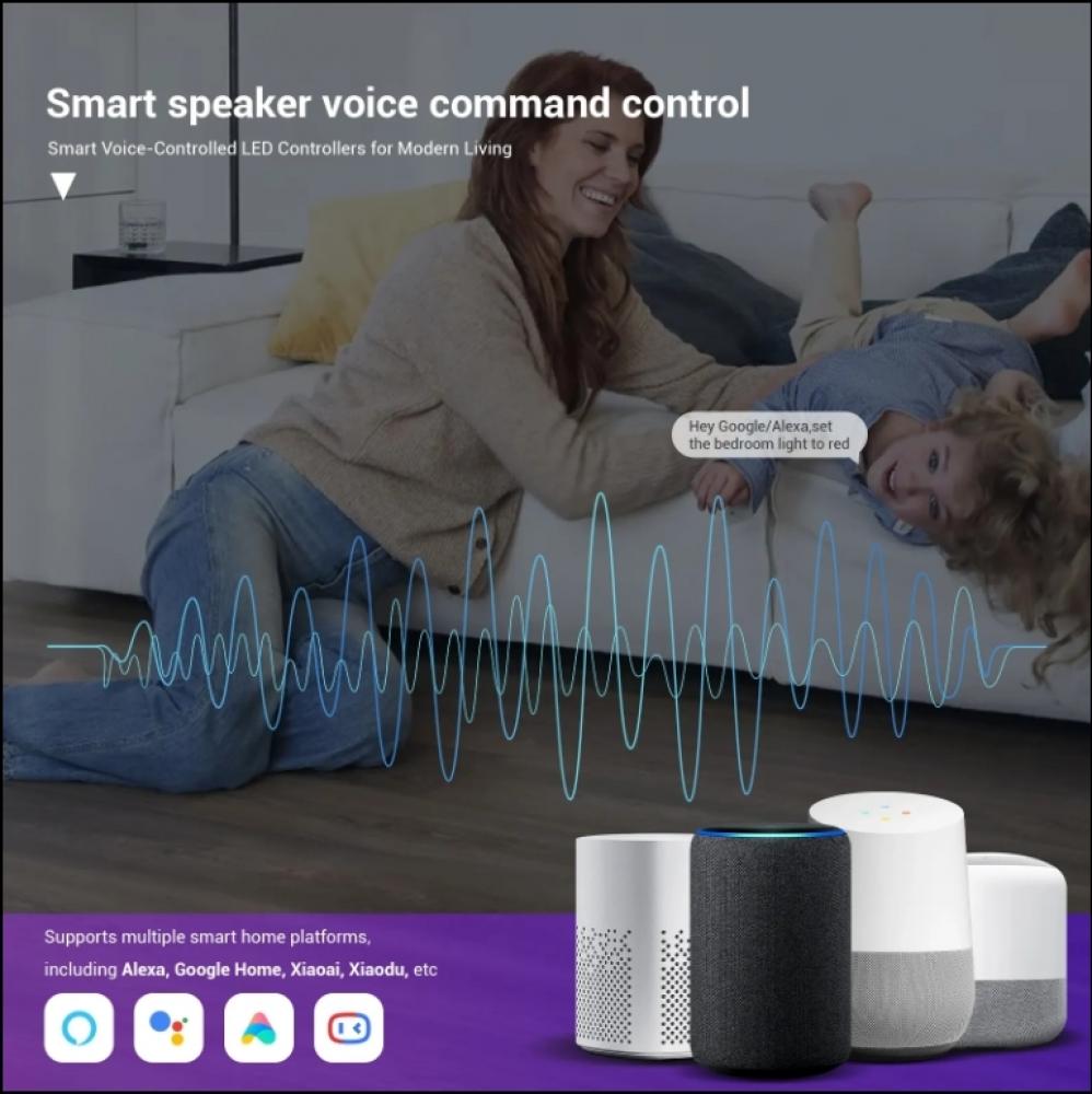 5-24V SP531E 1CH PWM Single Color IoT LED Controller Max 12A