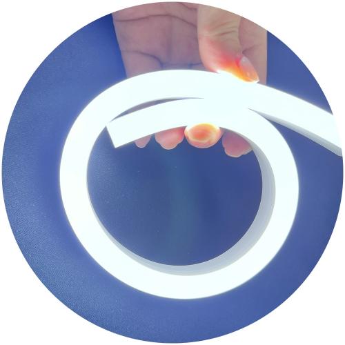 1meter 10x18mm 12V Silicone Neon LED Strip
