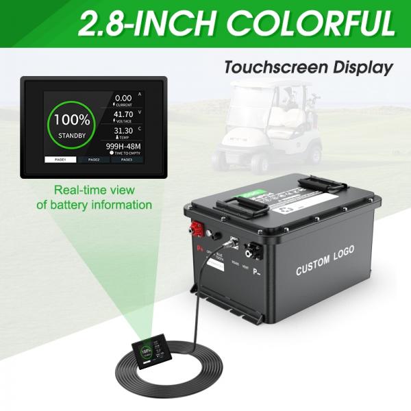 What does LiFePO4 stand for?